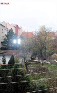 2576929.jpg