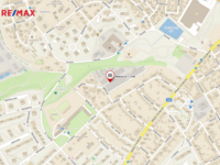 REMAX Delux