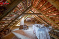 REMAX Delux
