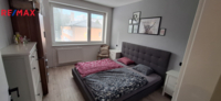 REMAX Delux