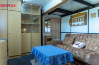 REMAX Delux