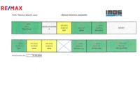 REMAX Delux