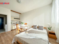 REMAX Delux