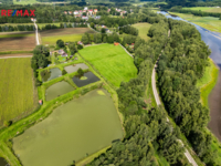 REMAX Delux