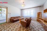 REMAX Delux