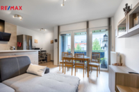 REMAX Delux
