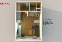 REMAX Delux