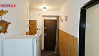 REMAX Delux