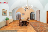 REMAX Delux