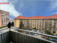 REMAX Delux