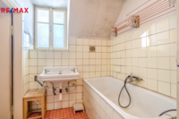 REMAX Delux