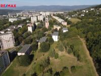REMAX Delux
