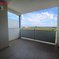 REMAX Delux