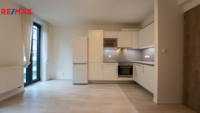 REMAX Delux