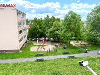REMAX Delux