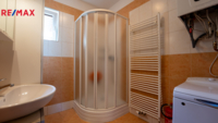 REMAX Delux