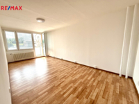 Slaný