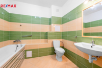 REMAX Delux