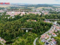 REMAX Delux