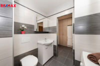 REMAX Delux