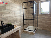 REMAX Delux