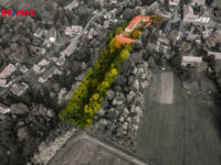 REMAX Delux