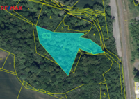 REMAX Brno