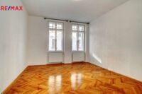 REMAX Delux