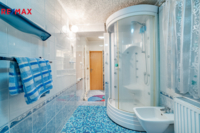 REMAX Delux