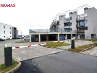 REMAX Delux