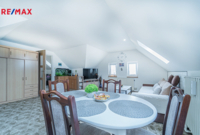 REMAX Delux