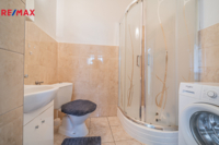 REMAX Delux