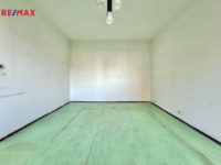 REMAX Delux