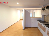 REMAX Delux