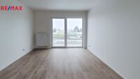 REMAX Delux