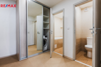 REMAX Delux