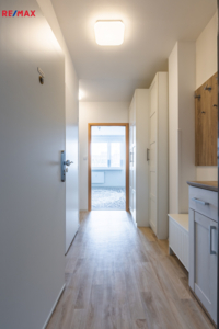 REMAX Brno