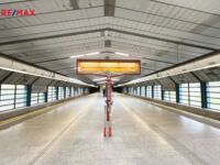 2906676.jpg