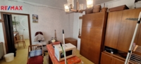 REMAX Delux