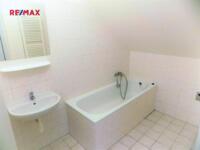 REMAX Delux