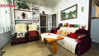 REMAX Delux