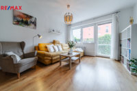 REMAX Delux