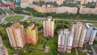 2833941.jpg