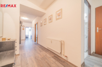 REMAX Delux