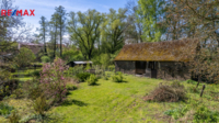 REMAX Delux