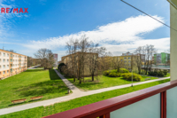 REMAX Delux