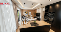 REMAX Delux