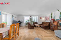 REMAX Delux