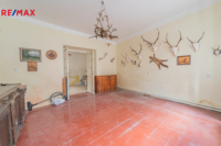 REMAX Delux