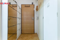 REMAX Delux